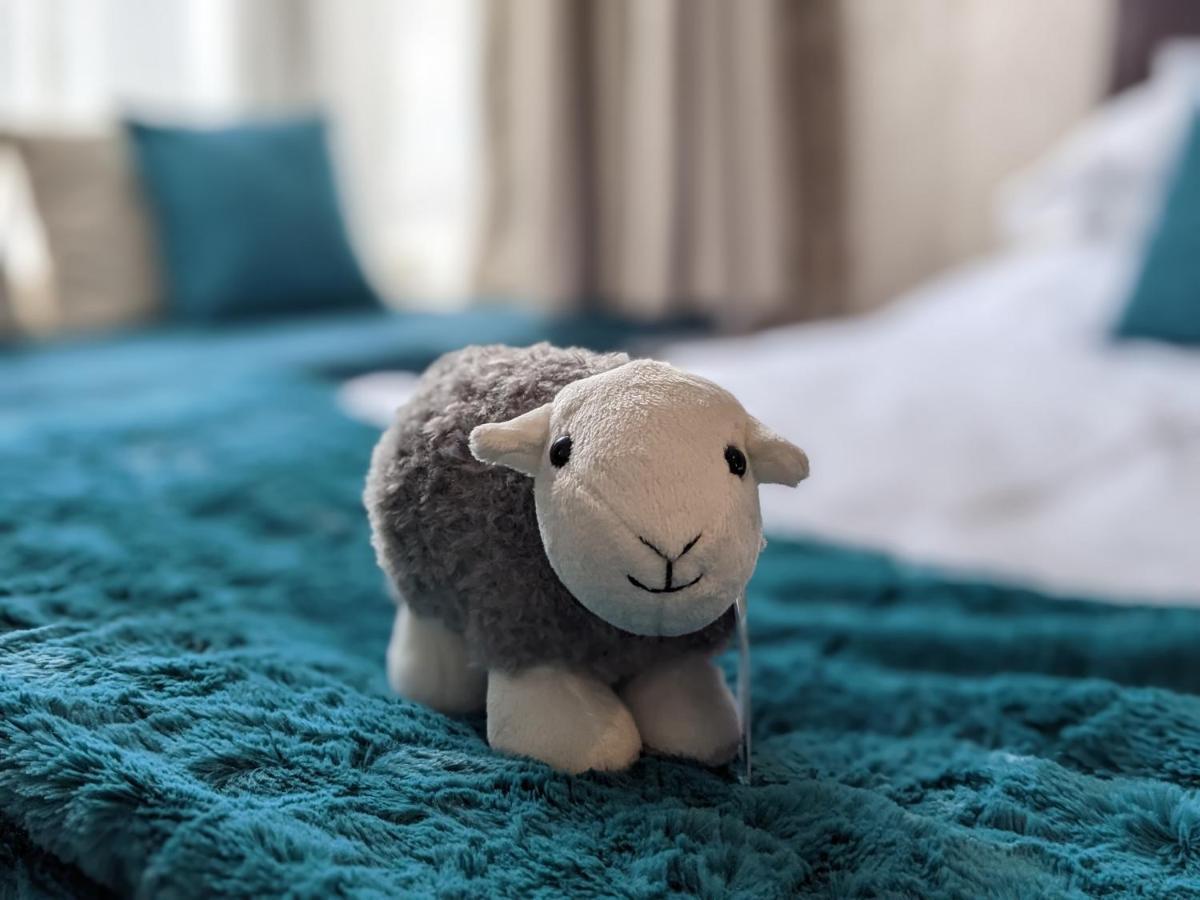 קזיק Avondale Guest House מראה חיצוני תמונה